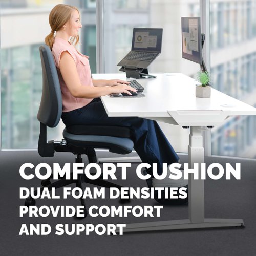 Fellowes Breyta Cushion Coccyx Cut Out
