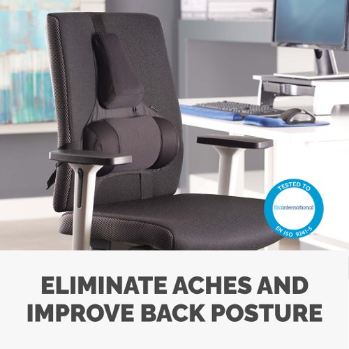 Ultimate Back Support Prof Series