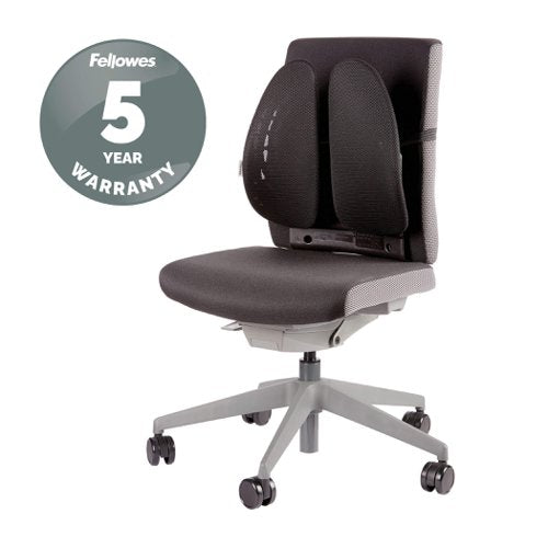 Fellowes Back Angel Support
