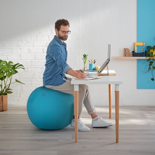 Leitz Ergo Cosy Sitting Ball Calm Blue
