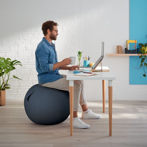 Leitz Ergo Cosy Sitting Ball Velvet Grey