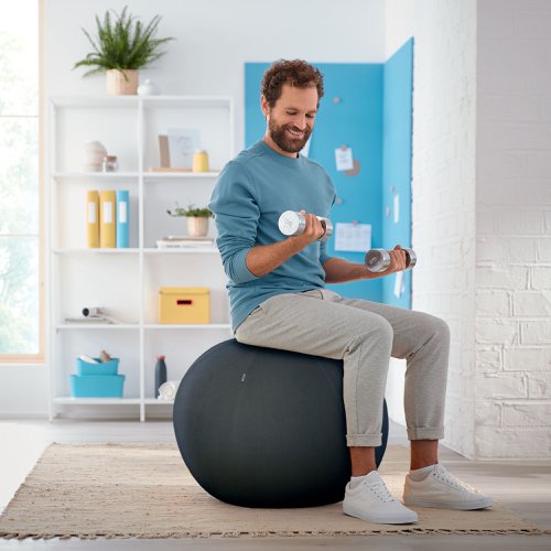Leitz Ergo Cosy Sitting Ball Velvet Grey