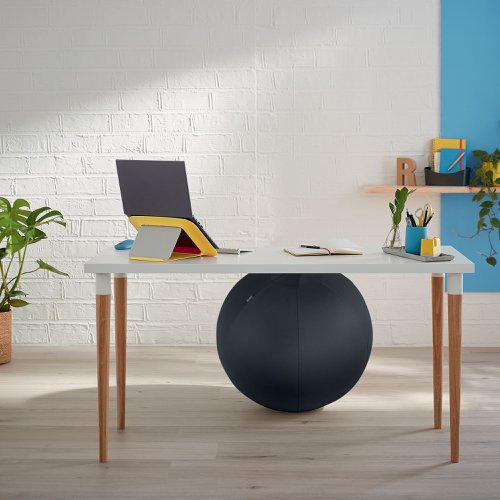 Leitz Ergo Cosy Sitting Ball Velvet Grey