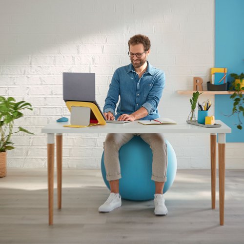 Leitz Ergo Cosy Sitting Ball Velvet Grey