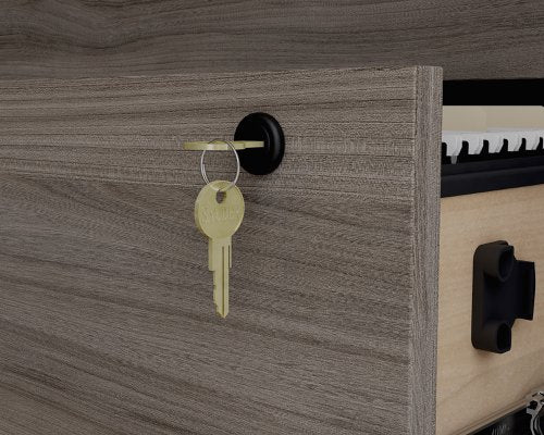 Affiliate Lateral Filer Hudson Elm