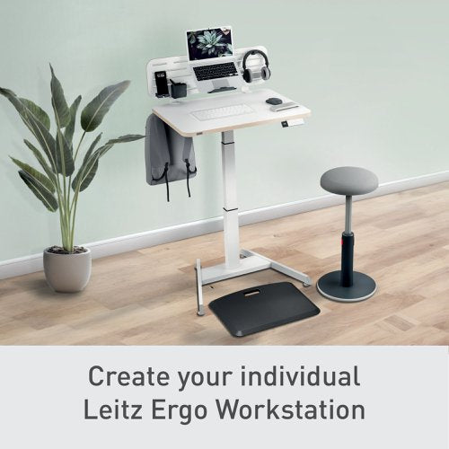 Leitz Ergo Pegboard Org & Laptop Holder