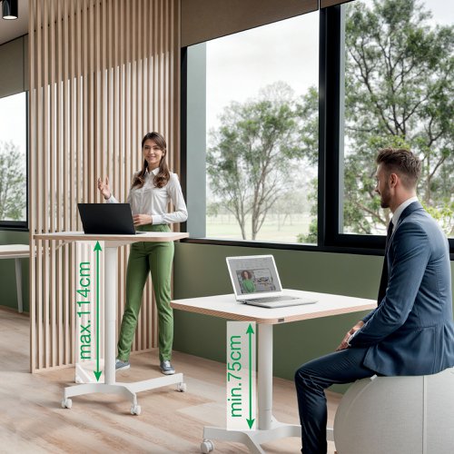Leitz Ergo Small Sit Stand Desk