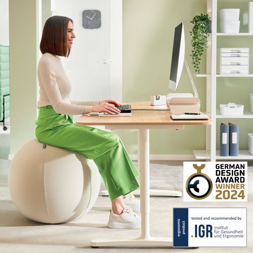 Leitz Ergo Sitting Ball 75cm Light Grey