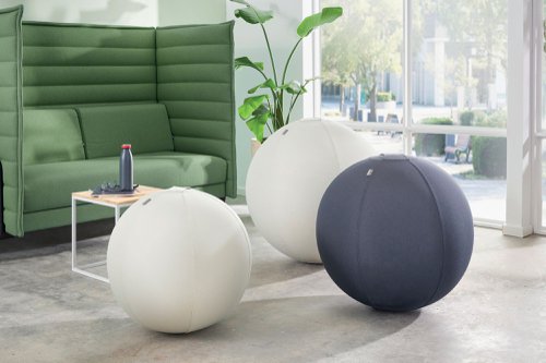 Leitz Ergo Sitting Ball 75cm Light Grey