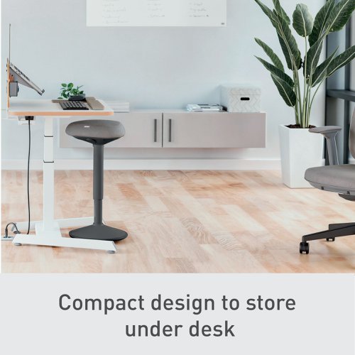 Leitz Ergo Standing Stool Dark Grey