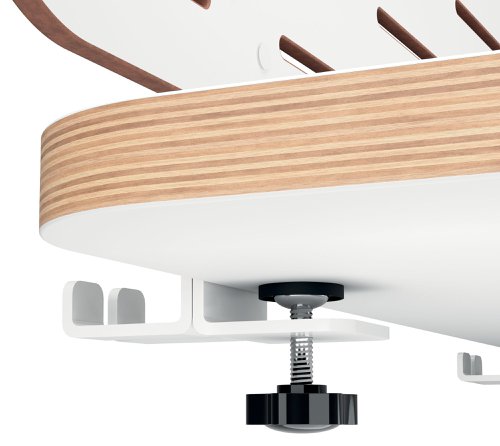Leitz Ergo Pegboard Org & Laptop Holder