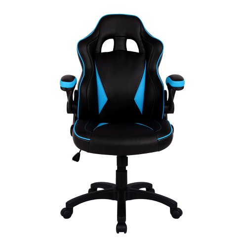 Predator Ergonomic Gaming Chair BKBL