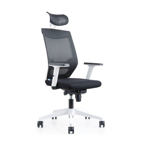 Headrest For 908W Ergoline Ops Chairs