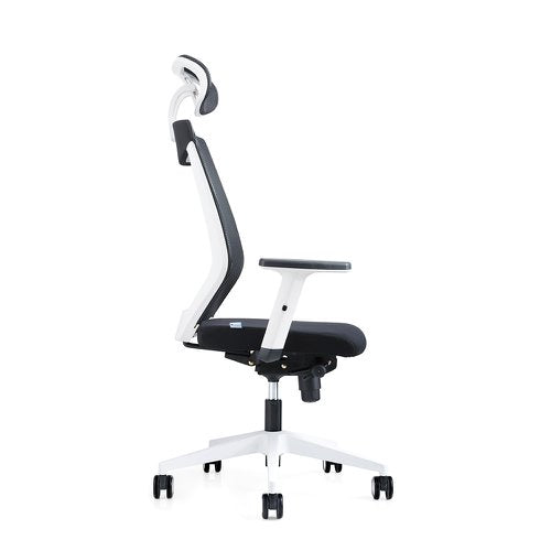 Headrest For 908W Ergoline Ops Chairs