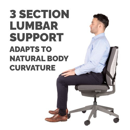 Ultimate Back Support Prof Series