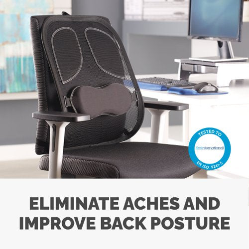 Mesh Back Support Professional Series