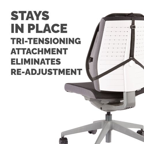 Mesh Back Support Professional Series