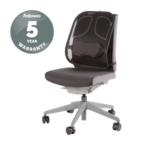 Mesh Back Support Professional Series