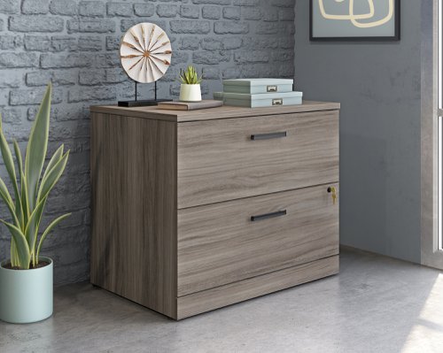 Affiliate Lateral Filer Hudson Elm