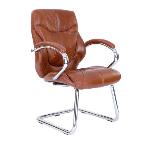 Sandown HB Luxurious Visitor Chair TN