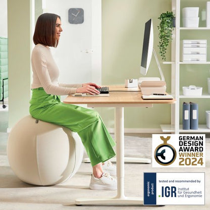 Leitz Ergo Sitting Ball 75cm Light Grey