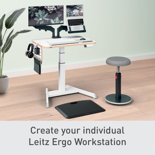 Leitz Ergo Small Pegboard Desk Organiser