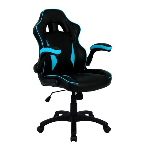 Predator Ergonomic Gaming Chair BKBL