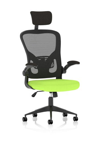 Ace Exec Mesh Chair Fold Arms Green