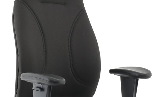 Esme Posture Chair wArms Black