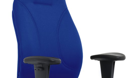 Esme Posture Chair wArms Blue