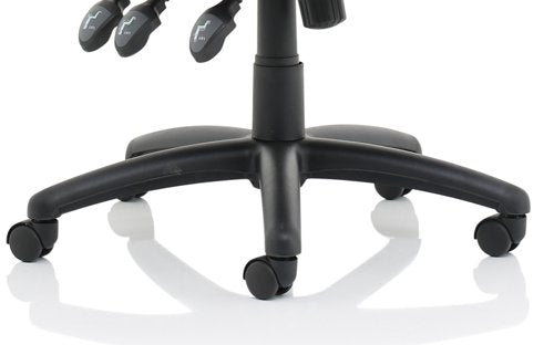 Esme Posture Chair wArms Blue