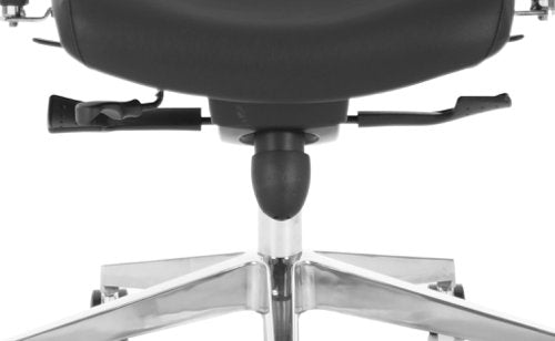 Chiro Plus Ultimate Leather BK
